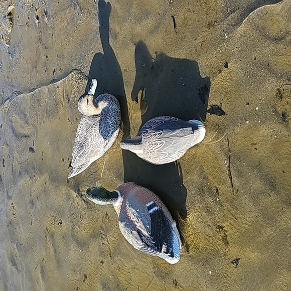 Duck decoys, game winners - Picture 6 of 10